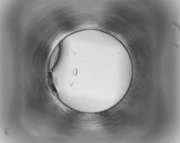 X0000102311056200808152037