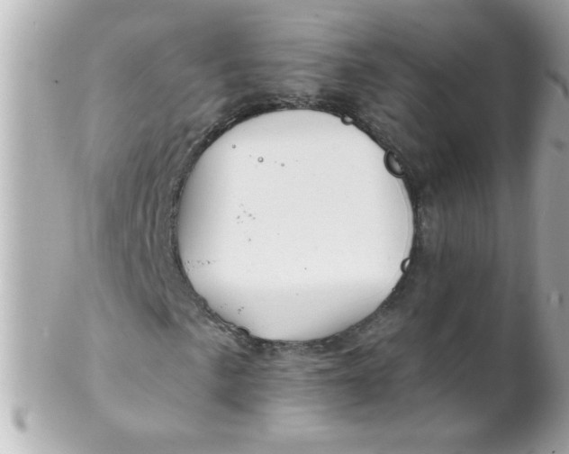 X0000102311057200808152036