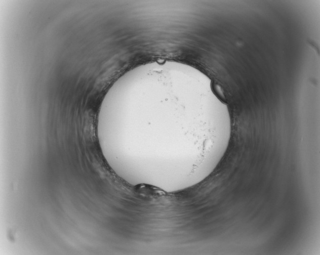X0000102311058200808152036