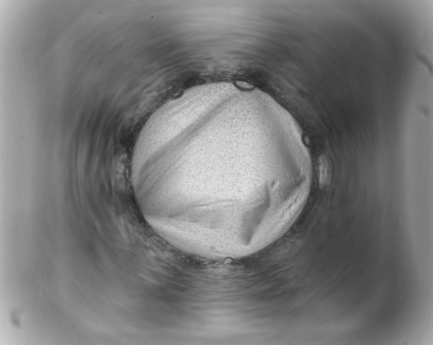 X0000102311059200808152036