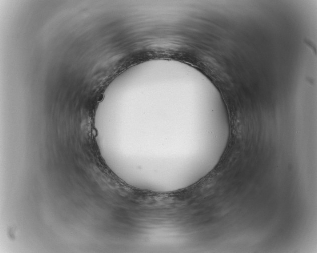 X0000102311061200808152036