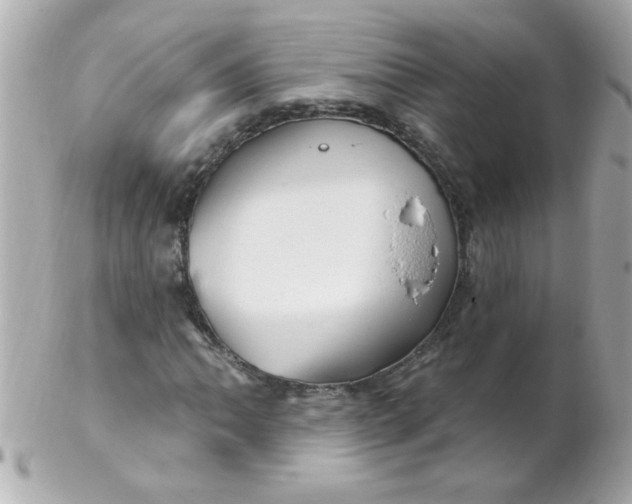 X0000102311062200808152036