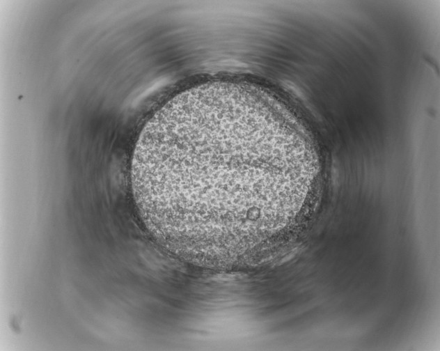 X0000102311063200808152036