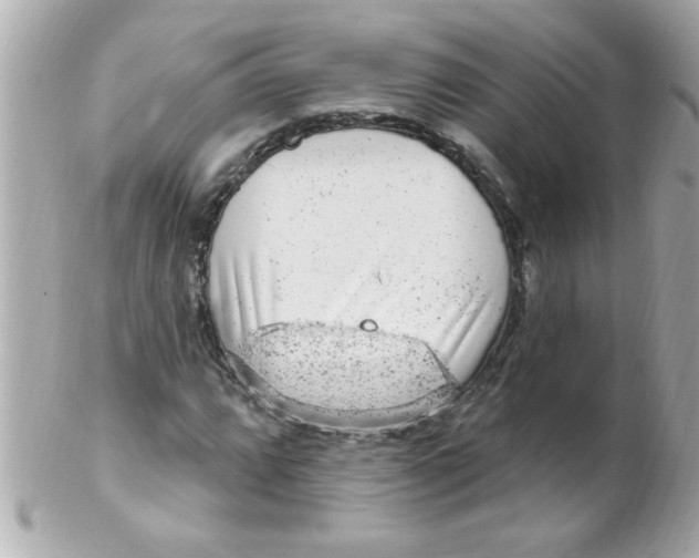 X0000102311064200808152036