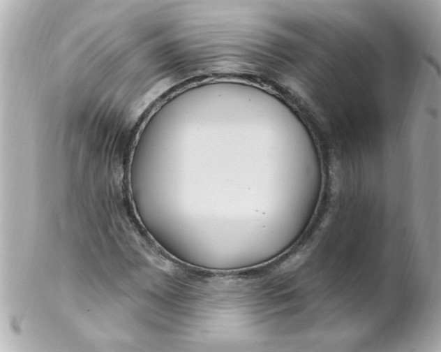 X0000102311065200808152036