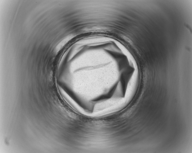 X0000102311066200808152036