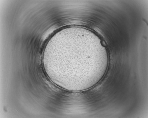 X0000102311067200808152036