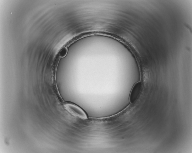 X0000102311069200808152036
