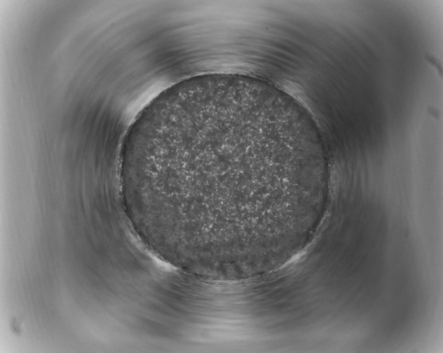 X0000102311071200808152036