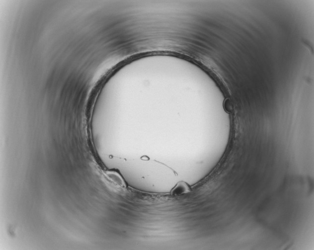 X0000102311072200808152036