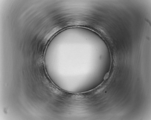 X0000102311073200808152036
