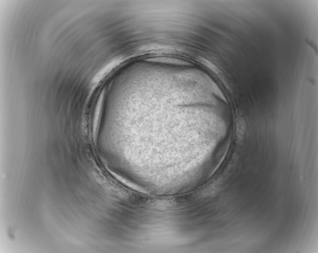 X0000102311074200808152035
