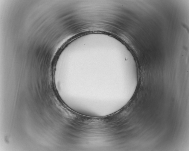 X0000102311076200808152035