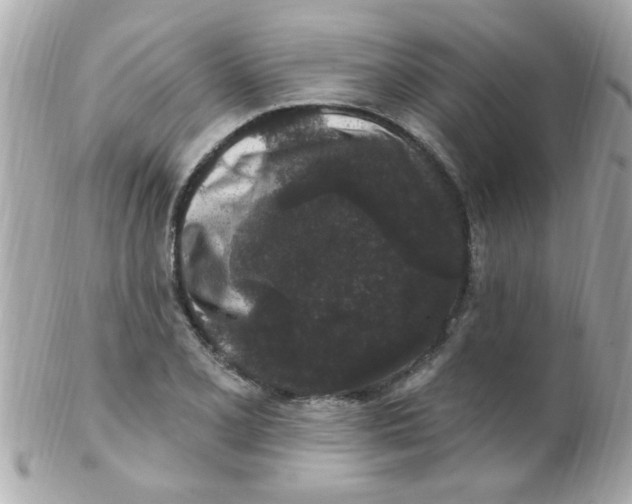 X0000102311077200808152035