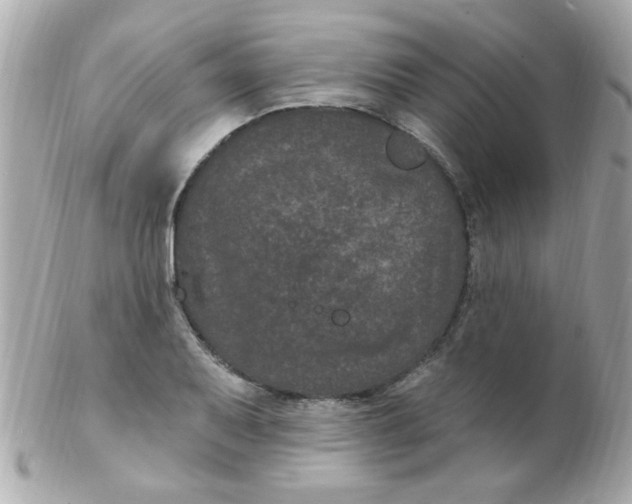 X0000102311079200808152035