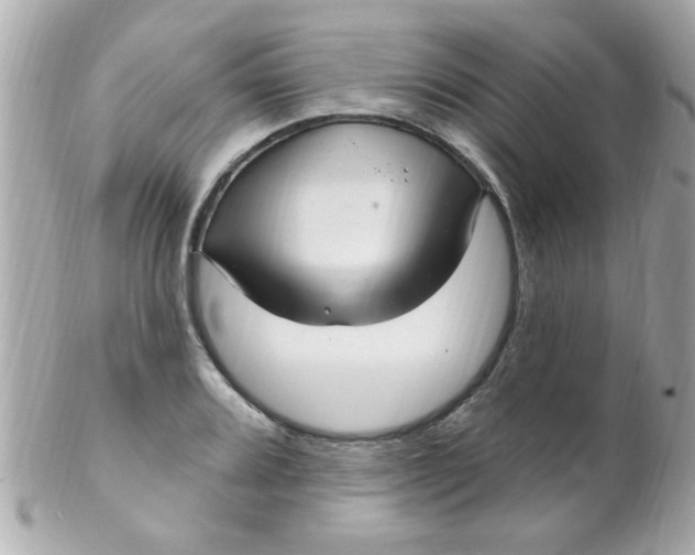 X0000102311080200808152035