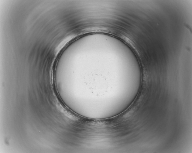 X0000102311082200808152035