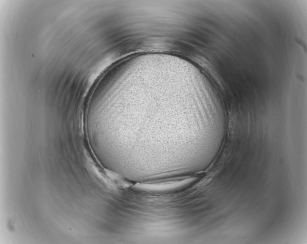 X0000102311083200808152035