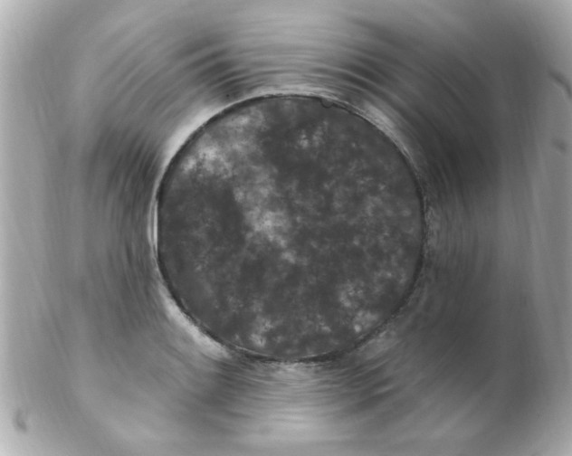 X0000102311084200808152035