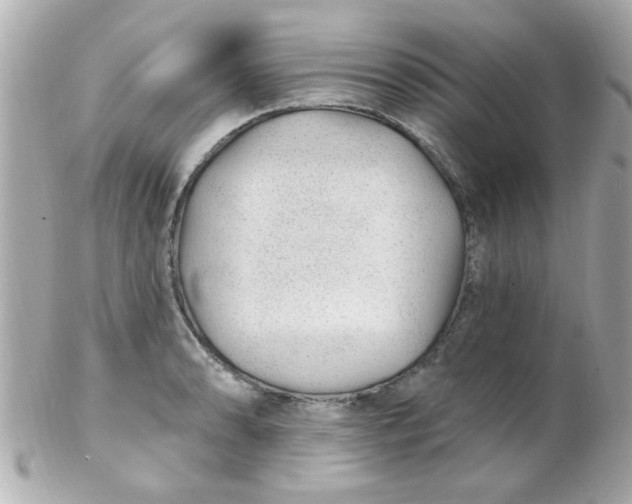 X0000102311086200808152035