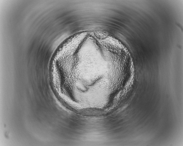 X0000102311087200808152035