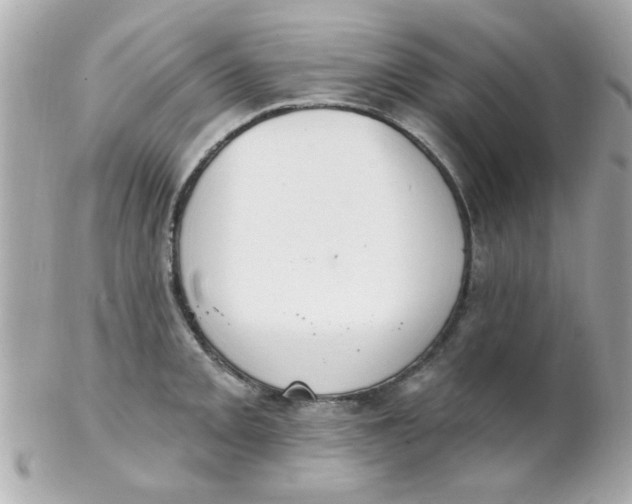 X0000102311093200808152035