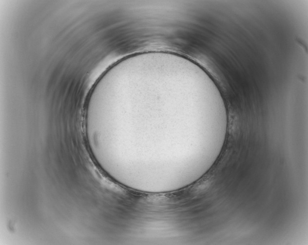 X0000102311094200808152035