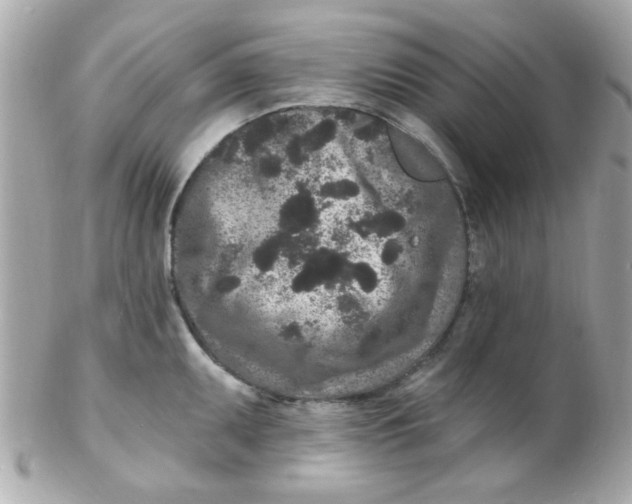 X0000102311095200808152035
