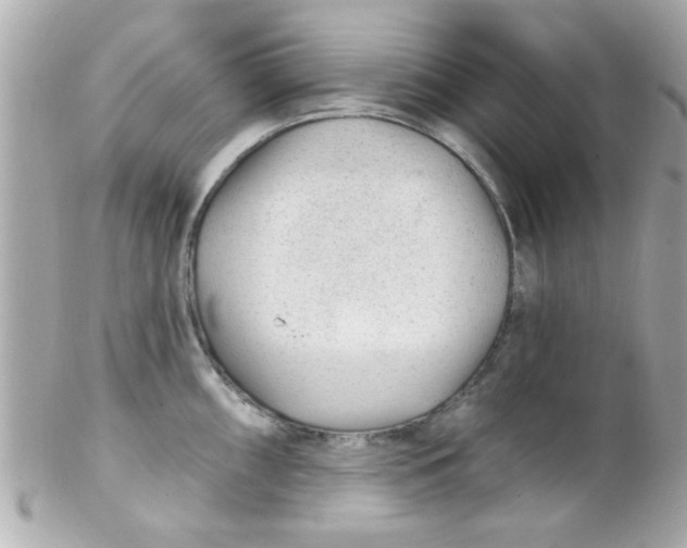 X0000102311098200808152035