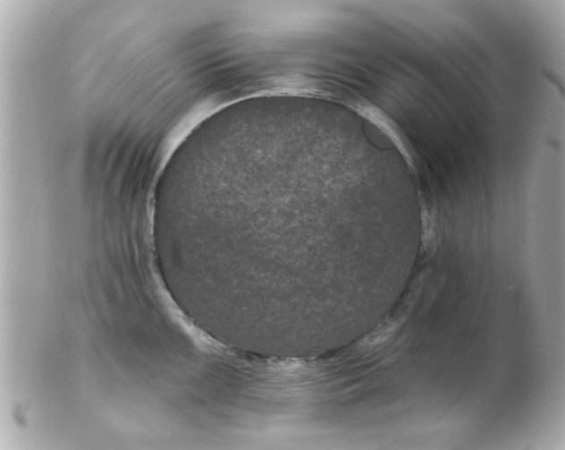 X0000102311099200808152035