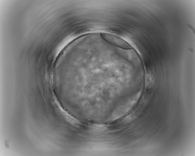 X0000102311101200808152035
