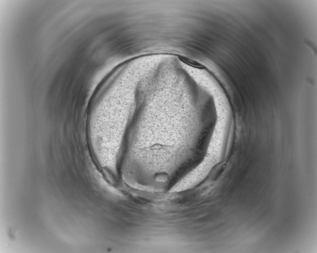 X0000102311102200808152035