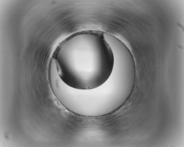 X0000102311104200808152035