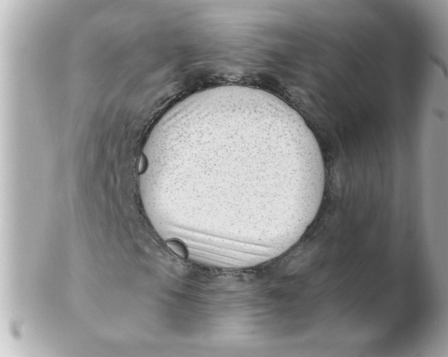 X0000102311105200808152034
