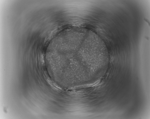 X0000102311106200808152034