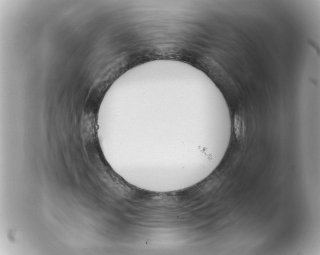 X0000102311107200808152034