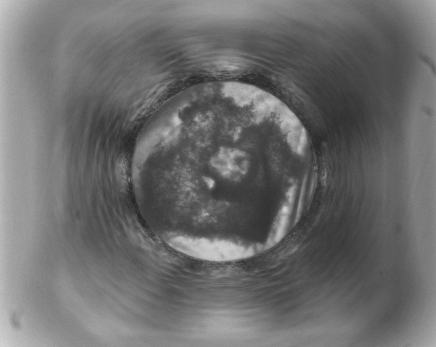 X0000102311108200808152034