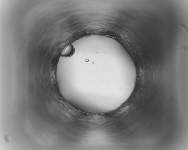 X0000102311109200808152034