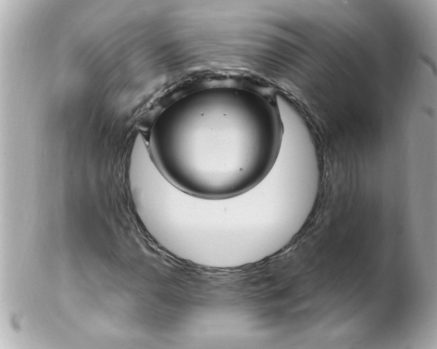 X0000102311110200808152034