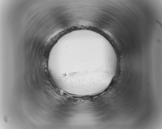 X0000102311112200808152034
