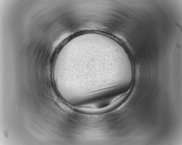 X0000102311114200808152034