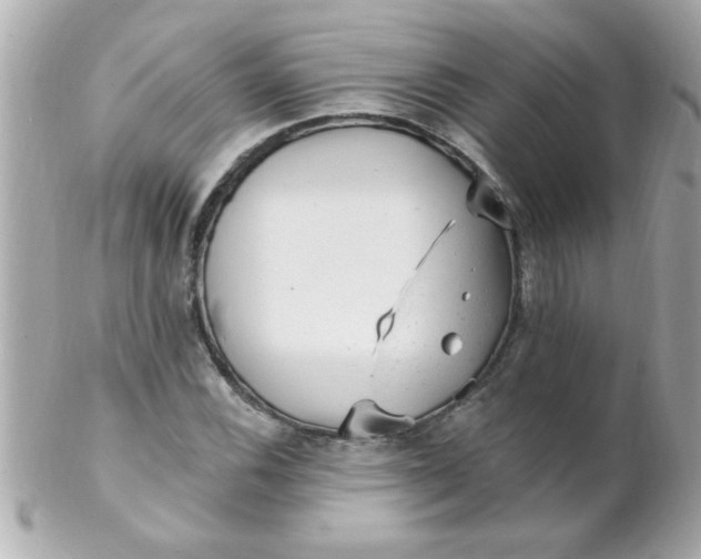 X0000102311116200808152034