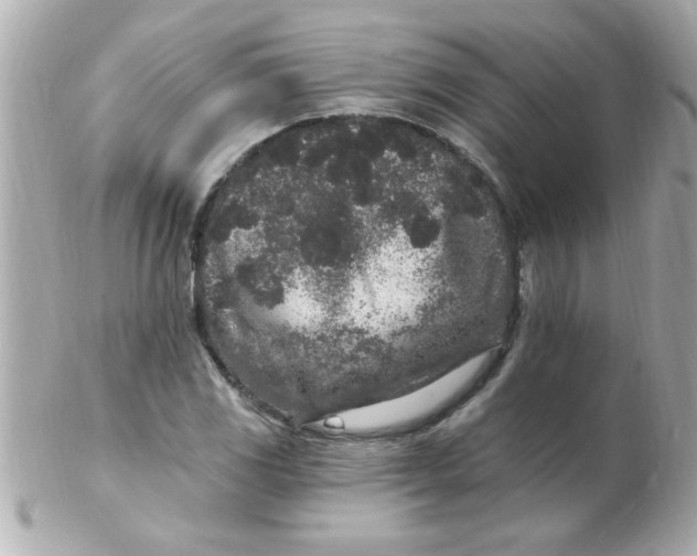 X0000102311117200808152034