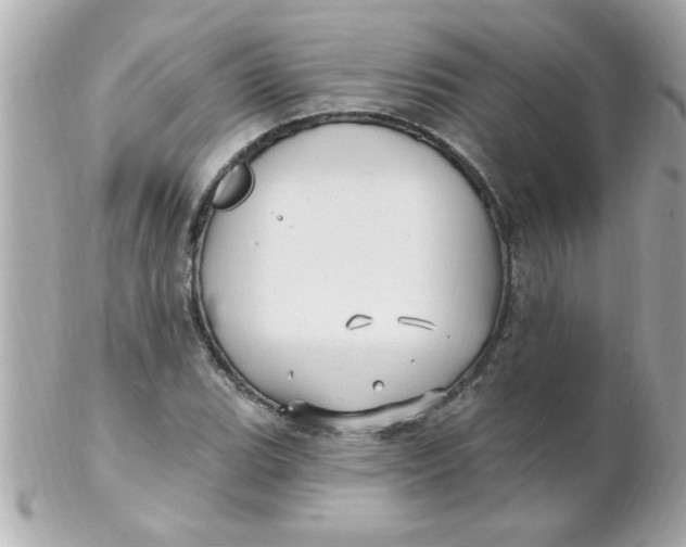 X0000102311119200808152034