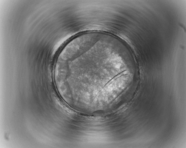 X0000102311120200808152034