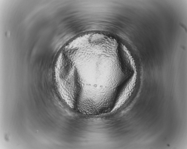 X0000102311121200808152034