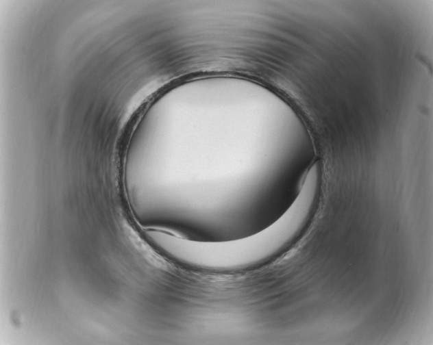 X0000102311122200808152034