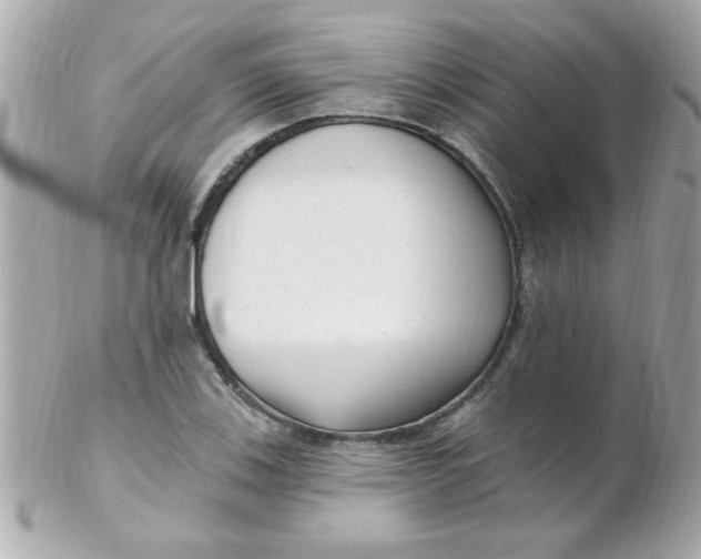 X0000102311123200808152034