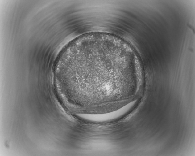 X0000102311125200808152035