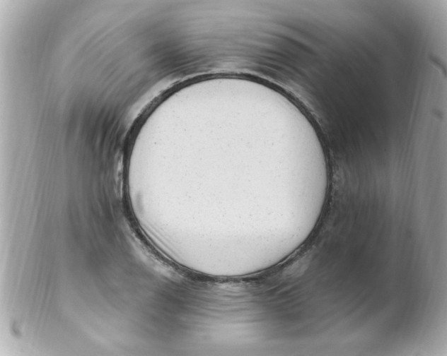 X0000102311126200808152035
